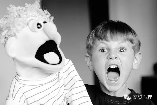 1559101579801855.jpg 640.webp.jpg