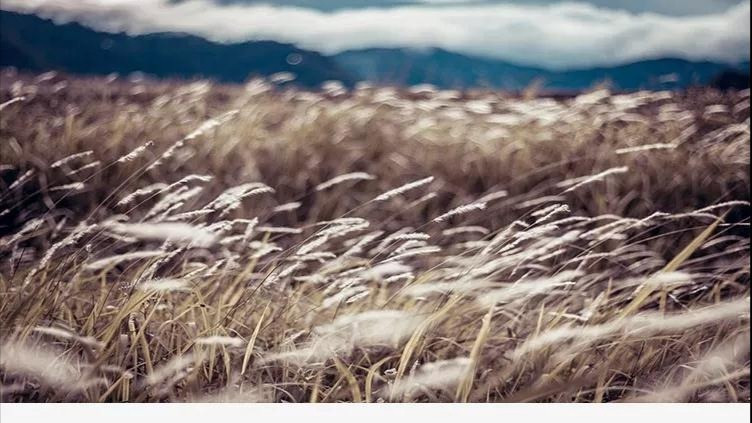 1561362226320614.jpg 微信圖片_20190616113315.jpg