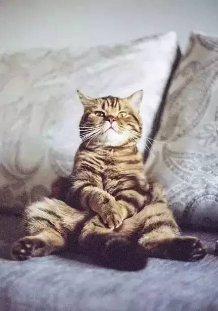 1627551765554353.jpg 微信圖片5.jpg