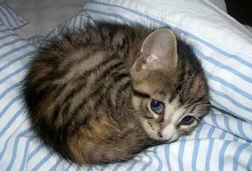 1627551926842691.jpg 微信圖片16.jpg