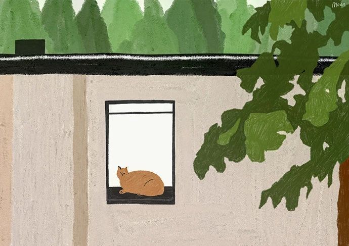 1647941028864639.jpg 微信圖片5.jpg