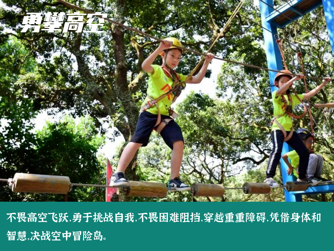 1657097938636623.png 26.png