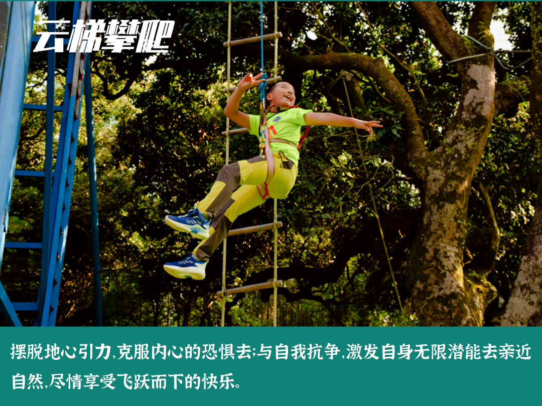 1657097962494666.png 28.png